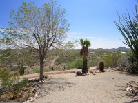 1039 S Saguaro Drive, Wickenburg, AZ Image #7182865