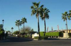 12721 W Greenway Rd Lot #2, El Mirage, AZ Main Image