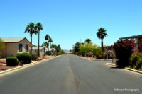 photo for 2000 S Apache Rd #234