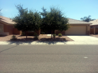 12849 W Aster Drive, El Mirage, AZ Image #7522104