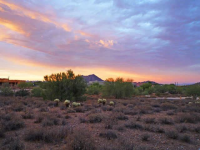 5858 E Desert Sage Place, Cave Creek, AZ Image #7522877