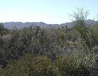 39400 N Ridgeway Rd 1, Cave Creek, AZ Image #7523000