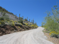 4880 E Lone Mountain Road, Cave Creek, AZ Image #7523649