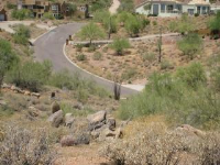 16245 E Powderhorn Drive, Fountain Hills, AZ Image #7642405