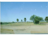 1822 S Pecos Drive, Casa Grande, AZ Image #7643114