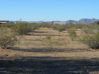 lot 80 W WILLIAM Road, Aguila, AZ Image #7646355