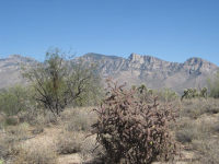 12686 Vistoso View Place, Oro Valley, AZ Image #7667244