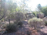 14657 N Spanish Garden Lane, Oro Valley, AZ Image #7667245