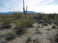 9765 N. Blue Bonnet Road, Tucson, AZ Image #7669836