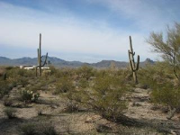 9765 N. Blue Bonnet Road, Tucson, AZ Image #7669835