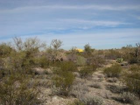 9765 N. Blue Bonnet Road, Tucson, AZ Image #7669839