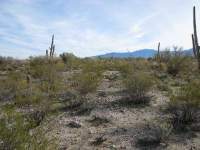 9765 N. Blue Bonnet Road, Tucson, AZ Image #7669837