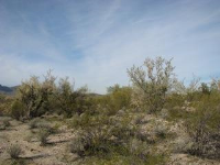 9765 N. Blue Bonnet Road, Tucson, AZ Image #7669838