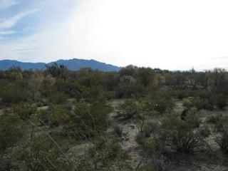 9757 N. Blue Bonnet Road, Tucson, AZ Main Image