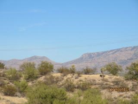 555 E. Naranja Drive, Tucson, AZ Image #7671066