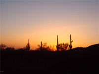 14451 Sunset Gallery Drive, Marana, AZ Image #7674585