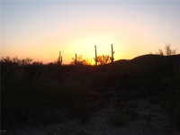 14451 Sunset Gallery Drive, Marana, AZ Image #7674584