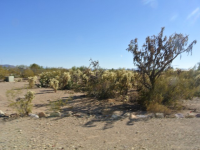 4334 S Hogan Drive, Tucson, AZ Image #7675617