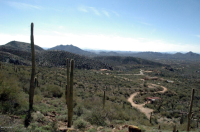 43xxx N FLEMING SPRINGS Road, Cave Creek, AZ Image #7686616