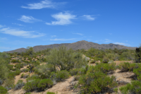 photo for 398xx E Cave Creek Road
