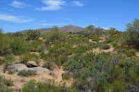 398xx E Cave Creek Road, Scottsdale, AZ Image #7686633