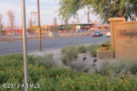 280 S EVERGREEN Road, Tempe, AZ Image #8497136