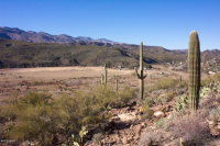 33455 S OLD BLACK CYN Highway, Black Canyon City, AZ Image #8498189