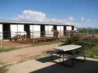 9595 S Kings Ranch, Hereford, AZ Image #8500592