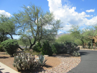 10394 E Snyder Creek, Tucson, AZ Image #8501417