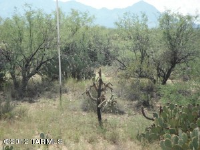 2610 E Reata Ridge E, Green Valley, AZ Image #8501797