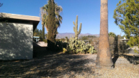 8601 E 18th, Tucson, AZ Image #8501820