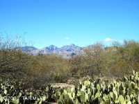 0 E Fort Lowell, Tucson, AZ Image #8511707