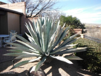 3571 S Corte De La Perla, Green Valley, AZ Image #8511990
