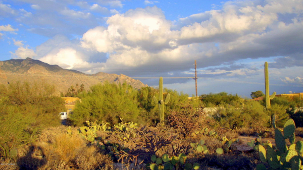 7070 N Doane, Tucson, AZ Main Image