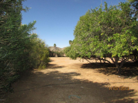 8834 N 52ND Place, Paradise Valley, AZ Image #8596959
