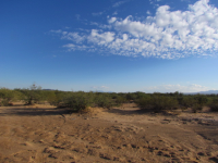 4567 S. Desert Sunrise Trail, Tucson, AZ Image #8666851