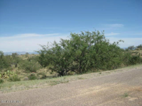 18710 S Bonanza Gold, Sahuarita, AZ Image #8777479