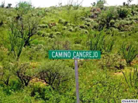 1652 Camino Cangrejo, Rio Rico, AZ Image #8783170