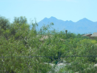 12851 N Honey Bell Drive, Marana, AZ Image #8786857