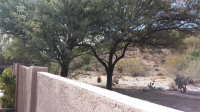 10575 N Stargazer Drive, Tucson, AZ Image #8792937