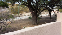 10575 N Stargazer Drive, Tucson, AZ Image #8792938