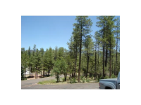 268 Wipila Wiki Dr Hunter Creek Ranch Lot 39, Payson, AZ Image #9178888