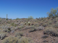 212 W. Quartz Rock Road, Phoenix, AZ Image #9190067