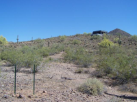 212 W. Quartz Rock Road, Phoenix, AZ Image #9190063