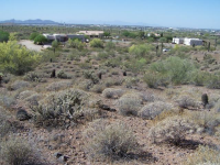 212 W. Quartz Rock Road, Phoenix, AZ Image #9190065