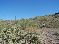 212 W. Quartz Rock Road, Phoenix, AZ Image #9190064