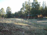 20 Acres 7.85 Miles S Vernon/McNary, Pinetop, AZ Image #9205339