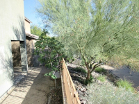 9551 E Birchwood Avenue, Mesa, AZ Image #9289406