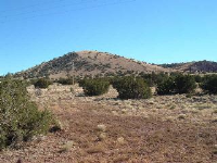 Unit 9 Lot 034, Concho, AZ Image #9365529