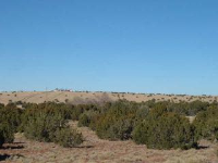 Unit 9 Lot 034, Concho, AZ Image #9365528